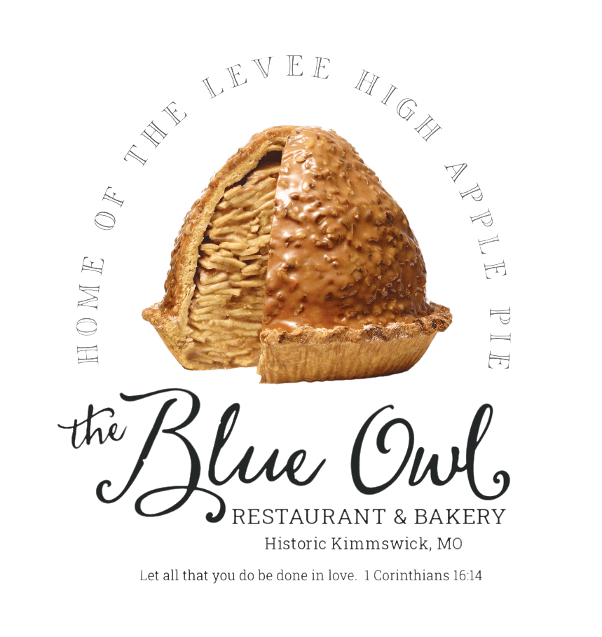 The Blue Owl Logo PNG The Blue Owl Logo PNG